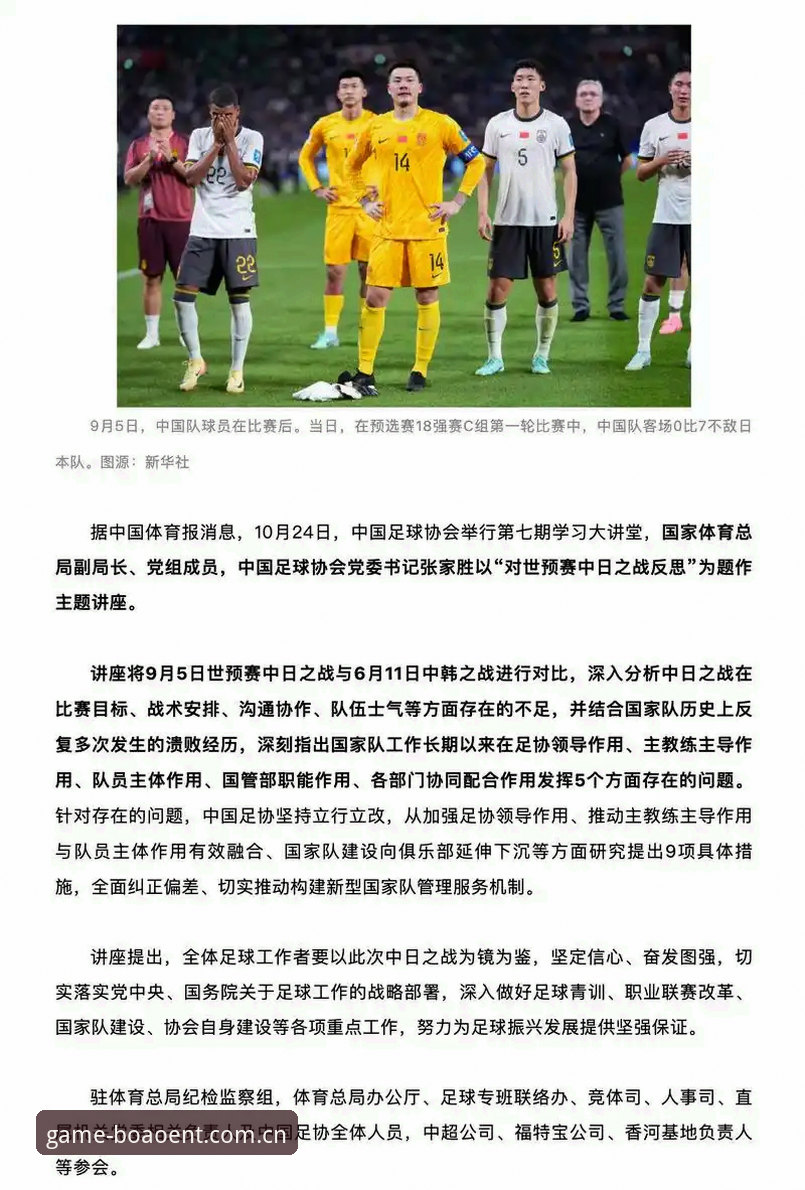 资深球迷亲历分享：世界杯观赛签证困局下的观赛策略与数据洞察